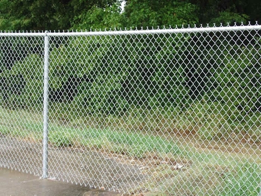 Iron Stadium Customizable Chain Link Wire Mesh Fence Green Coated Iron Net Playground Protection Safety Net