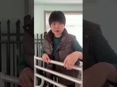 Campo 4 Righe Panelli per cortile di bestiame Galvanizzati a caldo