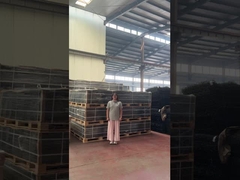 Punte per traliccio Clear View Sicurezza 358 Recinzione anti-arrampicata