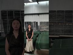 Recinzione di sicurezza anti-arrampicata Clear View per la realizzazione di bancali